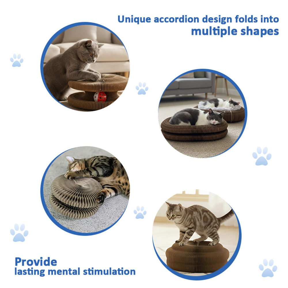 Kitty Kurlz: diseño flexible para pista, cama o túnel.