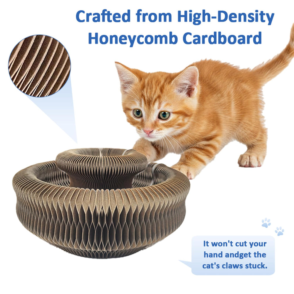 Kitty Kurlz: diseño multi-formas para espacios dentro de casa.