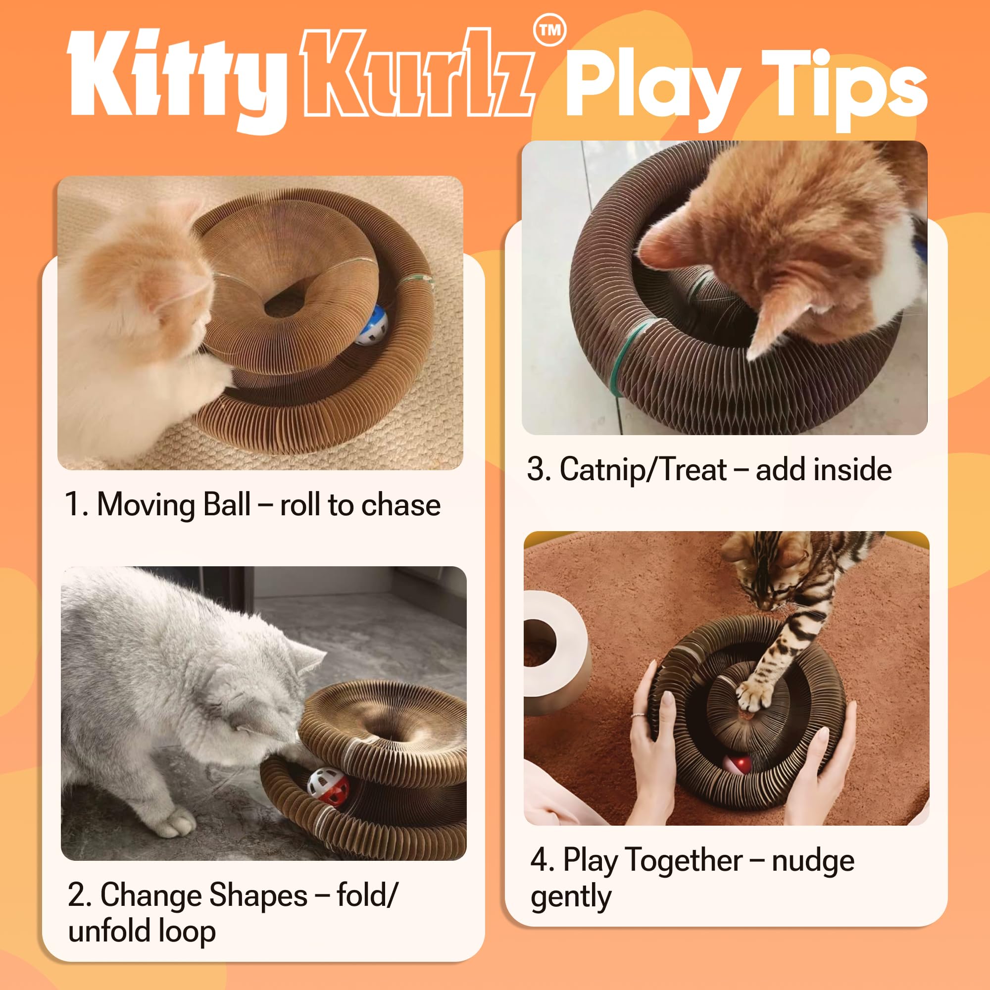 Kitty Kurlz: ensamblaje magnético rápido para montar en minutos