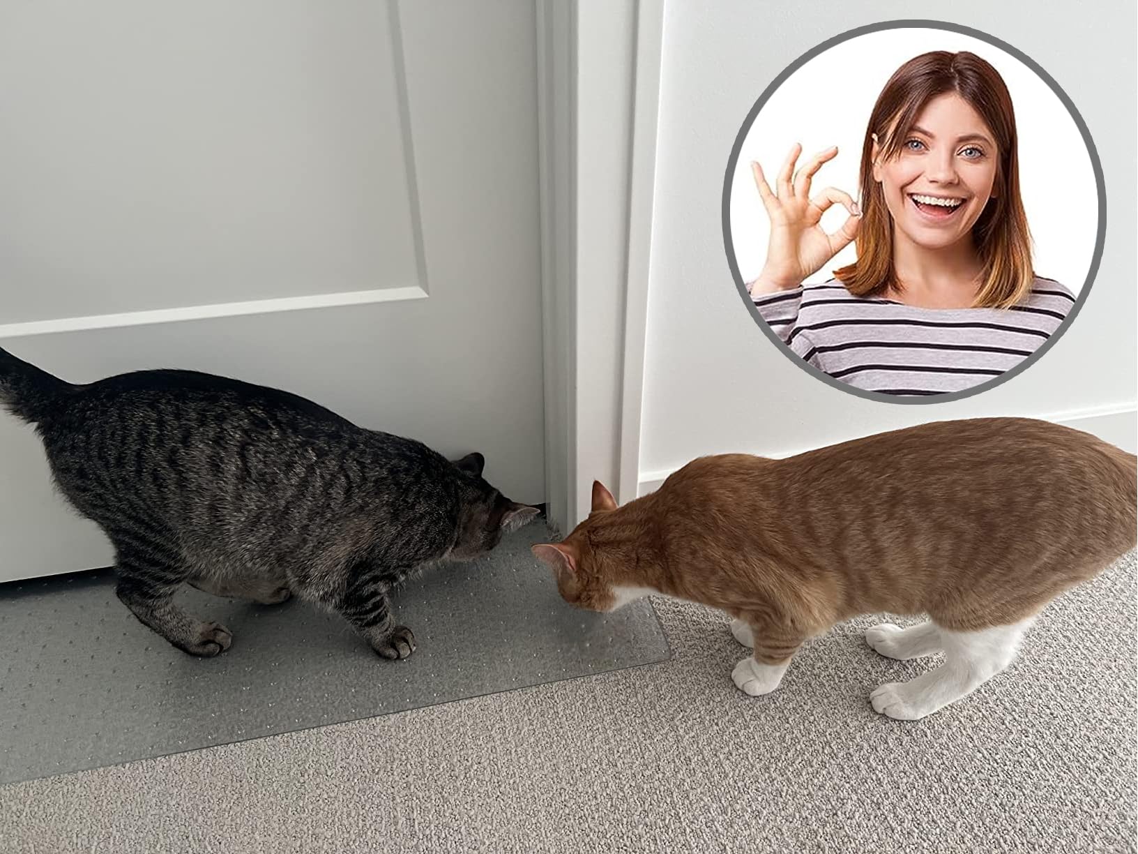 KittySmart instalación rápida sin cortar ni modificar puertas.