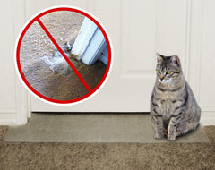 KittySmart parador de alfombra en la puerta evita arañados de forma instantánea.