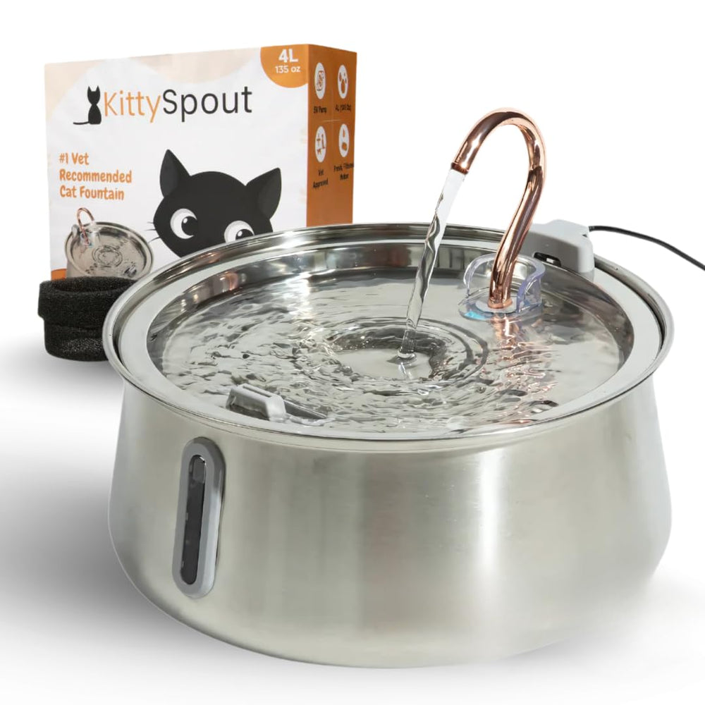 KittySpout fuente de agua para gatos en acero inoxidable, gran capacidad para varios felinos.