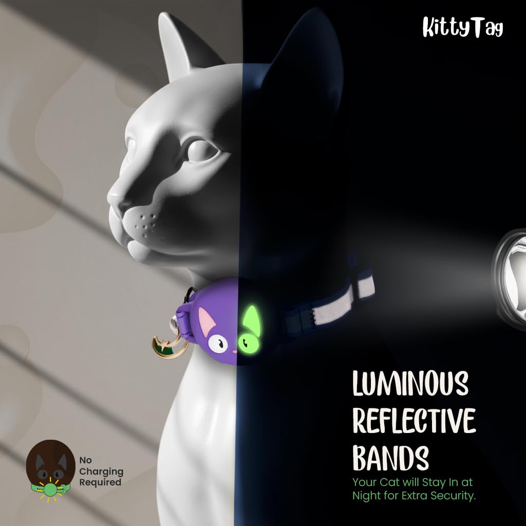 KittyTag collar reflectivo y luminoso para visibilidad nocturna