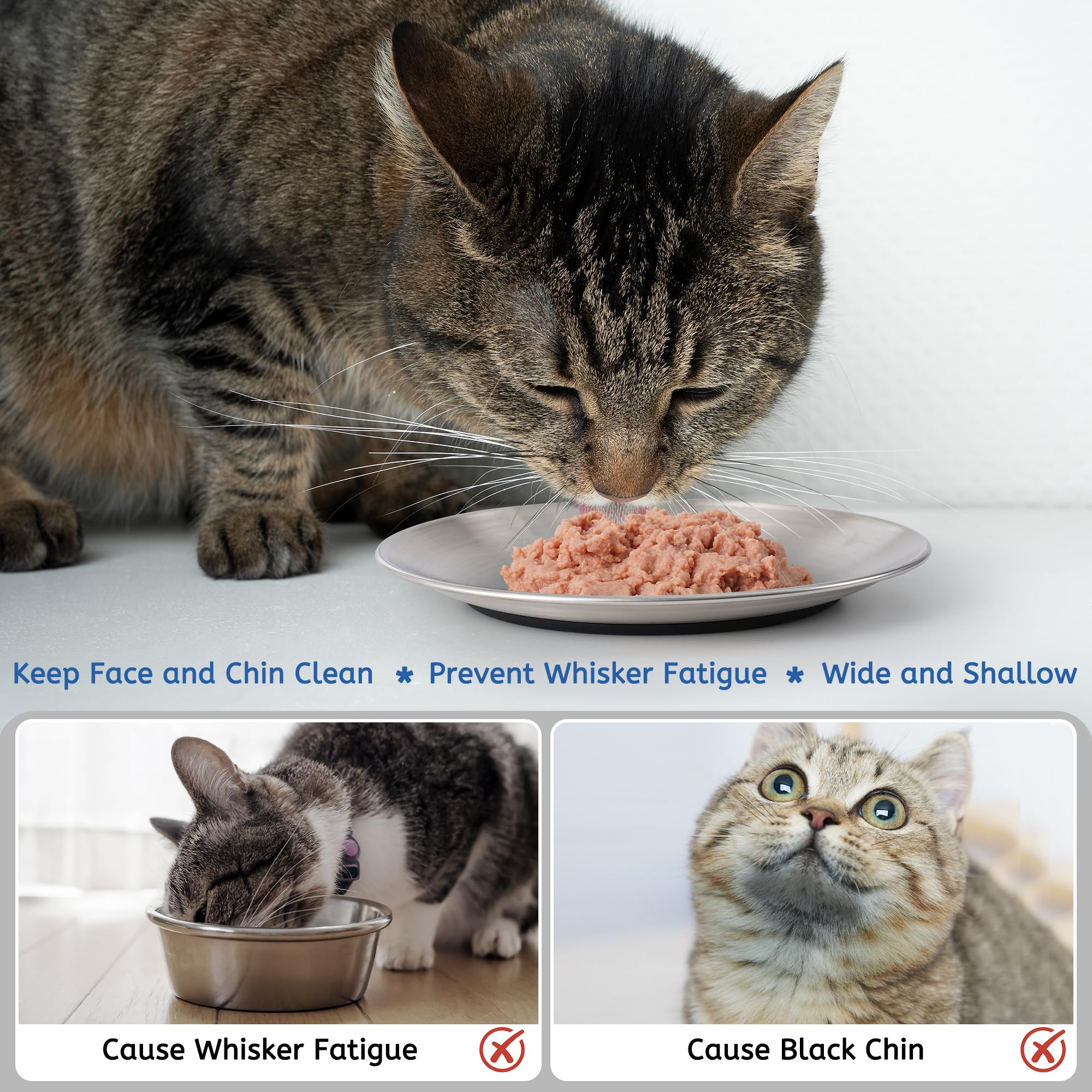 Kitwinney tazones ideales para gatos de interiores y mascotas pequeñas.