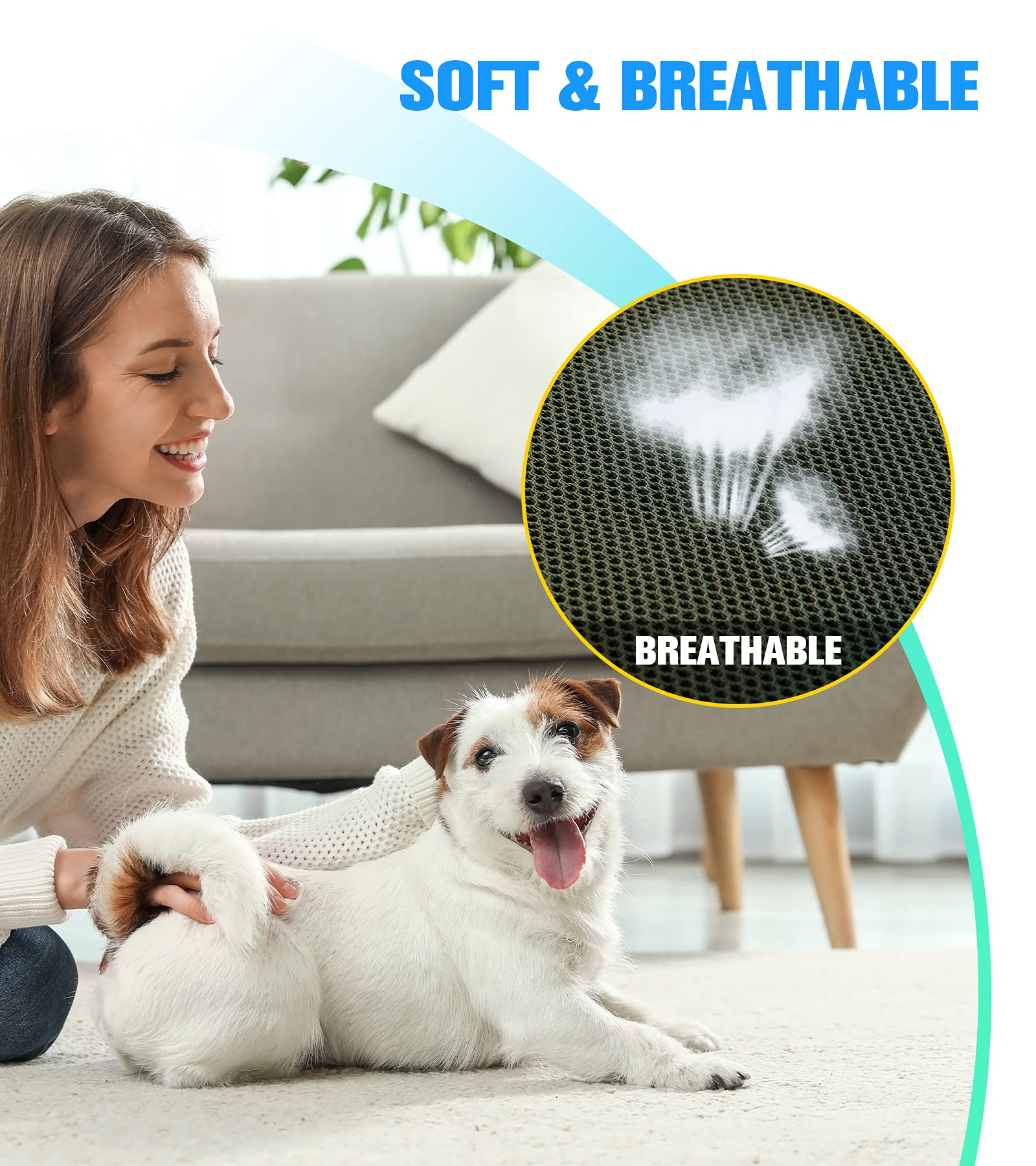 Kkiimatt lima-uñas para perros, limado suave y acabado uniforme.