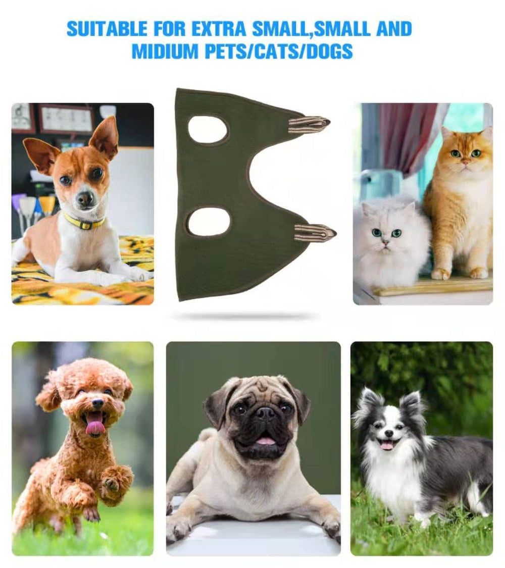 La talla XS de Kkiimatt, para perros pequeños, ajuste cómodo