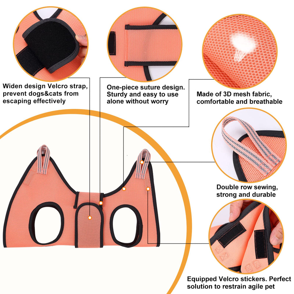 Kkiimatt versión XXS para perros pequeños, ideal para sesiones de cuidado en casa