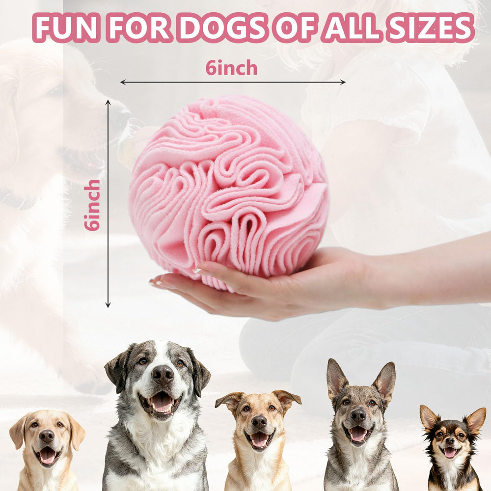 kmirepa Fotografía canina color cereza ideal para fotos y recuerdos
