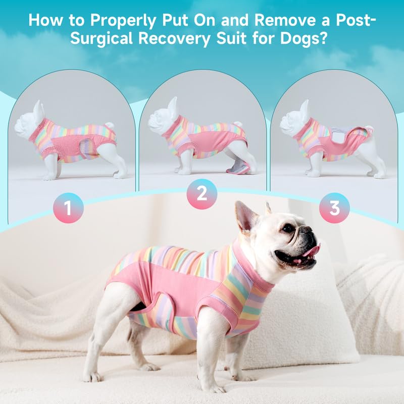 Knafe-ajuste-tallas-perros garantiza ajuste cómodo para todas las razas.