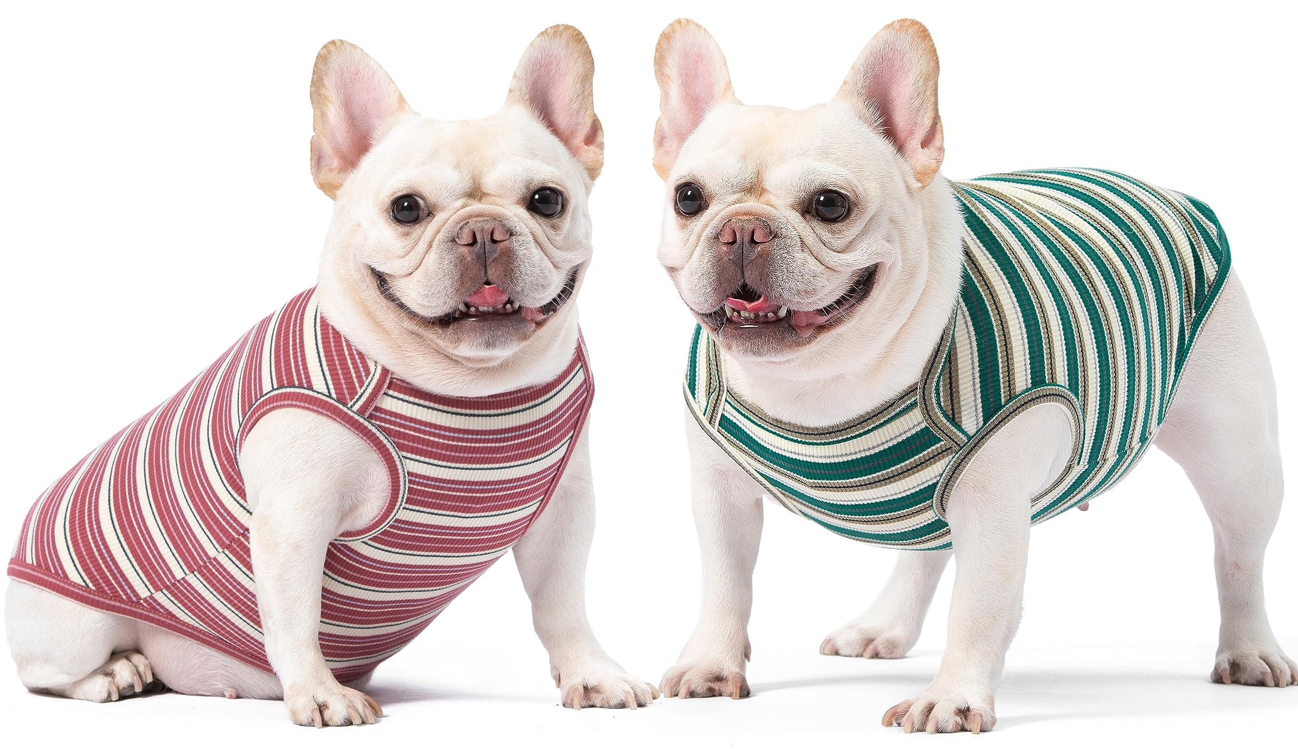 Knuffelen camiseta perro en paseo casual, estilo rayado y fresco.
