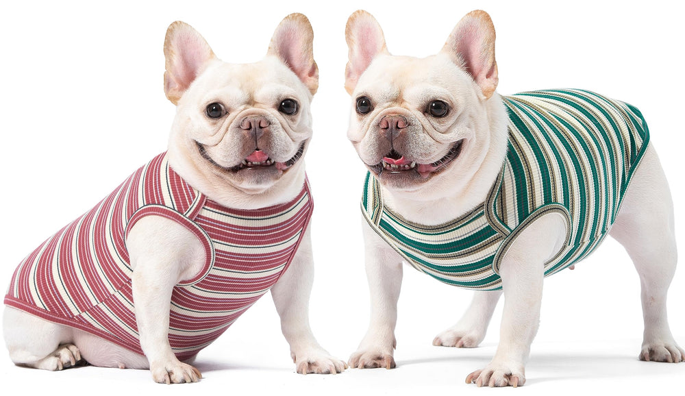 Knuffelen camiseta perro en paseo casual, estilo rayado y fresco.