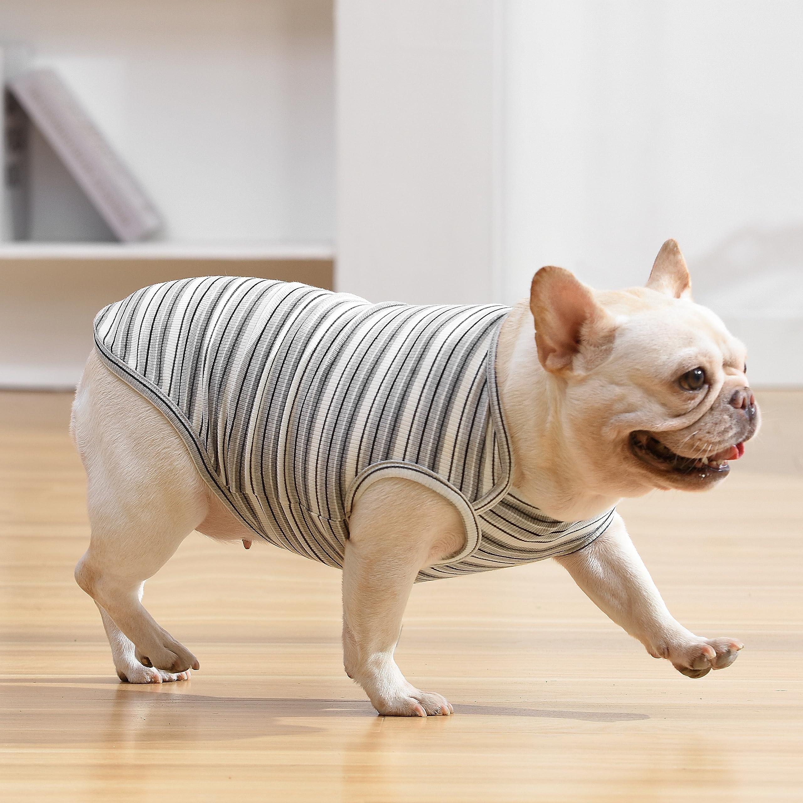 Paquete doble Knuffelen de camisetas rayadas para perros, opción práctica.