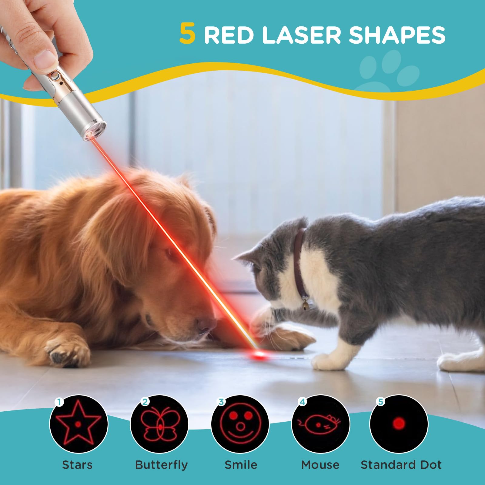 Koackl puntero-gato, luz roja, estímulo visual para ejercicio diario.