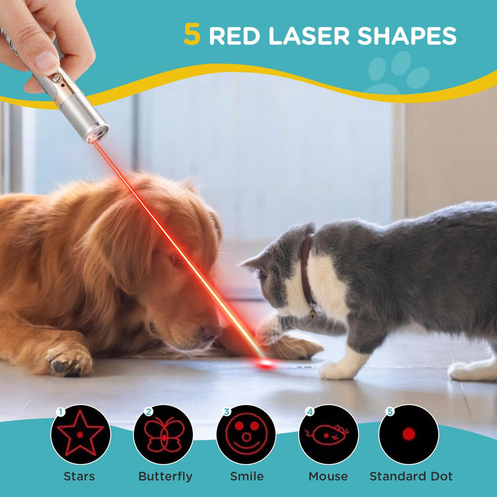 Koackl puntero-gato, luz roja, estímulo visual para ejercicio diario.
