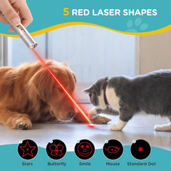 Koackl puntero-gato, luz roja, estímulo visual para ejercicio diario.