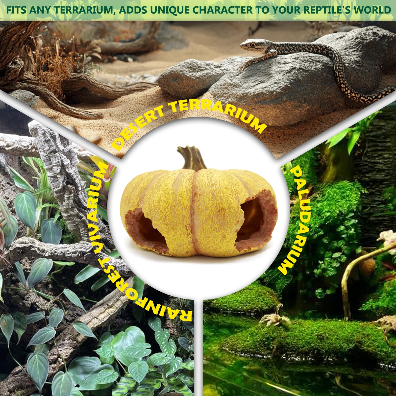 Kocris Casa regalo ideal para amantes de reptiles y terrarios