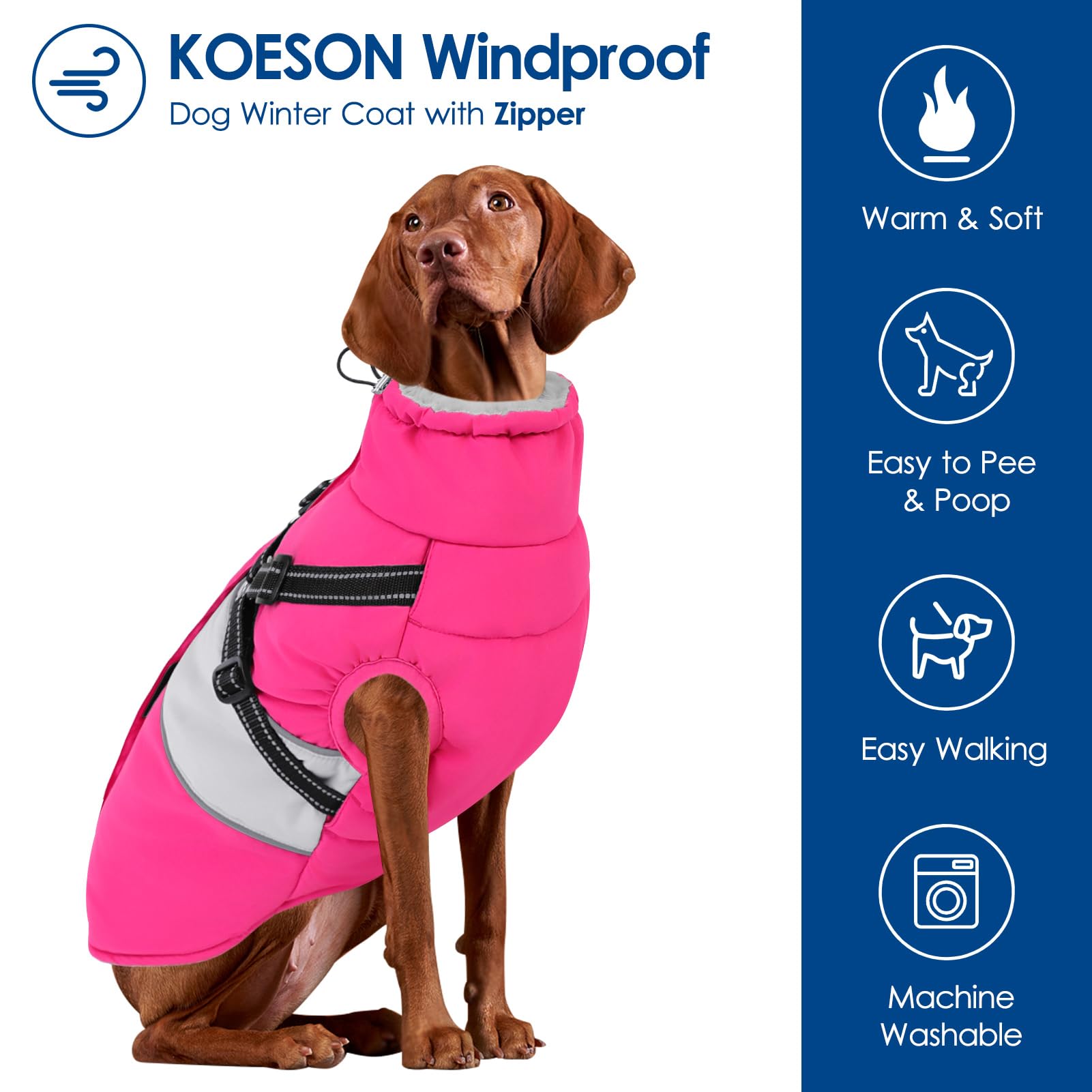 KOESON prenda impermeable para nieve y lluvia, mantiene al perro seco durante caminatas