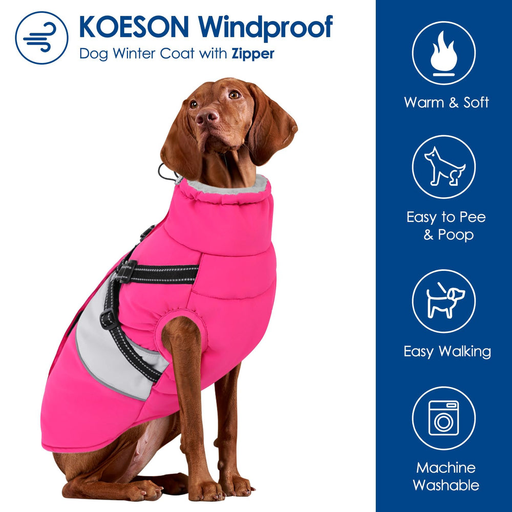 KOESON prenda impermeable para nieve y lluvia, mantiene al perro seco durante caminatas