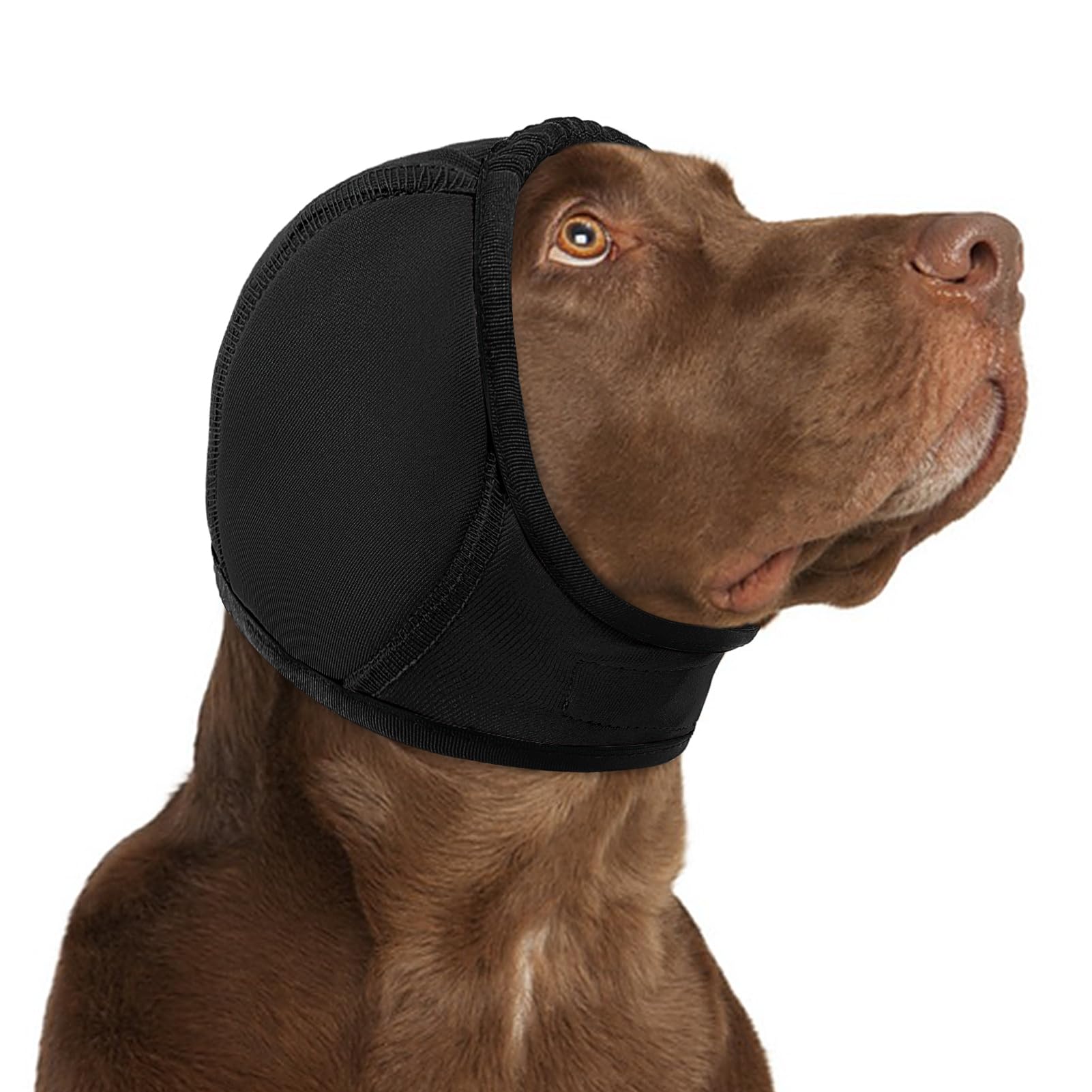 KOESON capucha calmante para perros, capucha que reduce ruidos y aporta tranquilidad durante salidas.