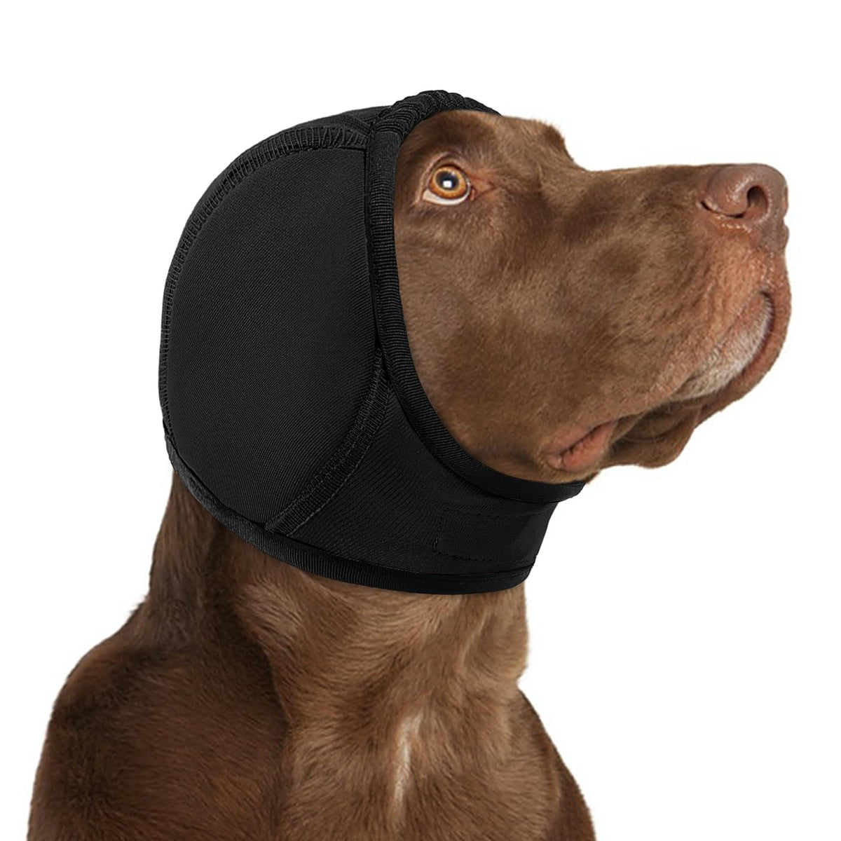 KOESON capucha calmante para perros, capucha que reduce ruidos y aporta tranquilidad durante salidas.