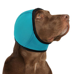 KOESON hoodie calmante para perros en uso, ayuda a calmar durante ruidos externos.