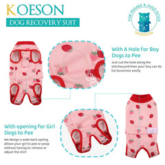 KOESON traje de recuperación para cirugía en perro, vista posterior