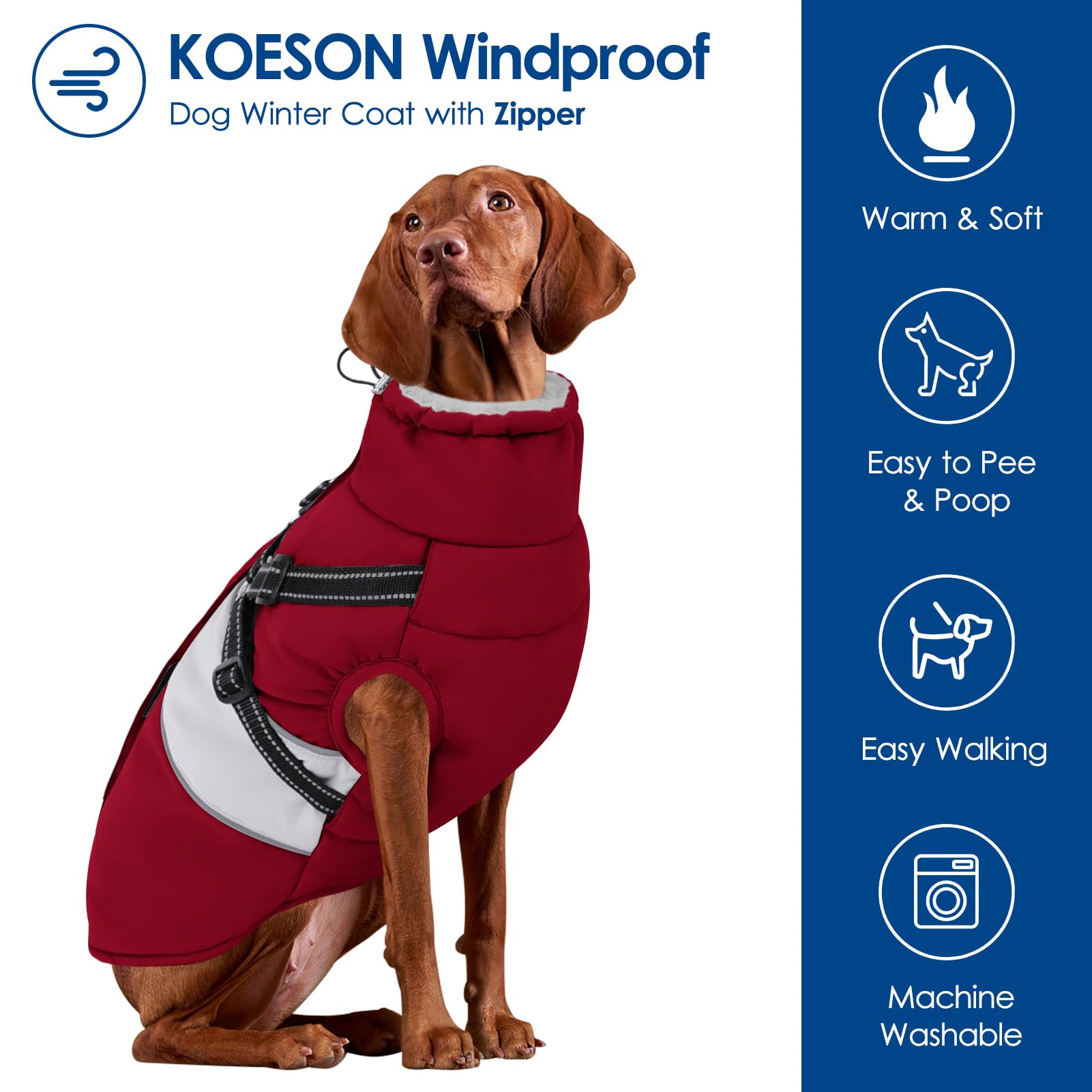 KOESON variedad de tallas para perros grandes y pequeños.