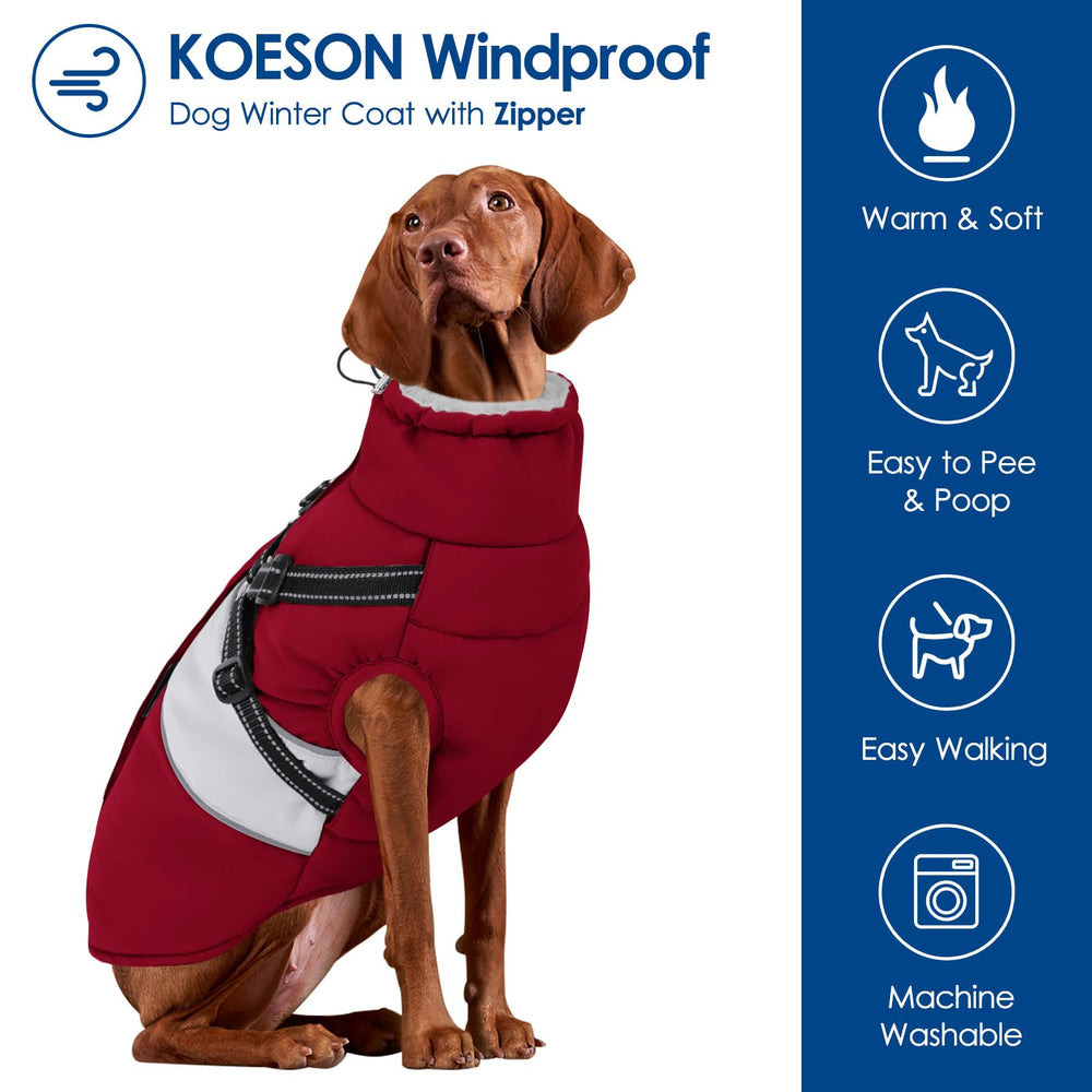 KOESON variedad de tallas para perros grandes y pequeños.
