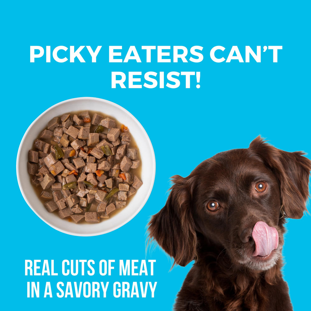 KOHA estofado estilo casero para perros, sabor muy agradable sin rellenos.