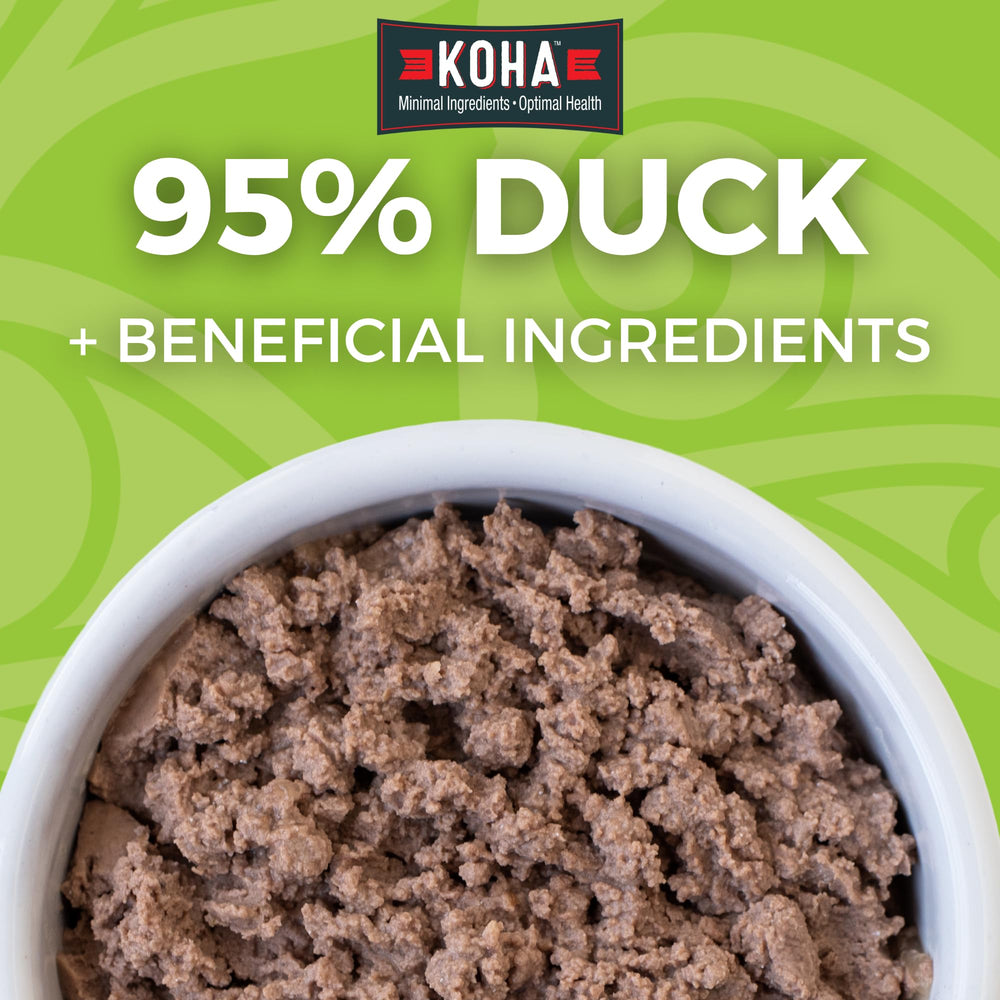 KOHA lata de paté de pato para gatos, presentación atractiva y sabor suave
