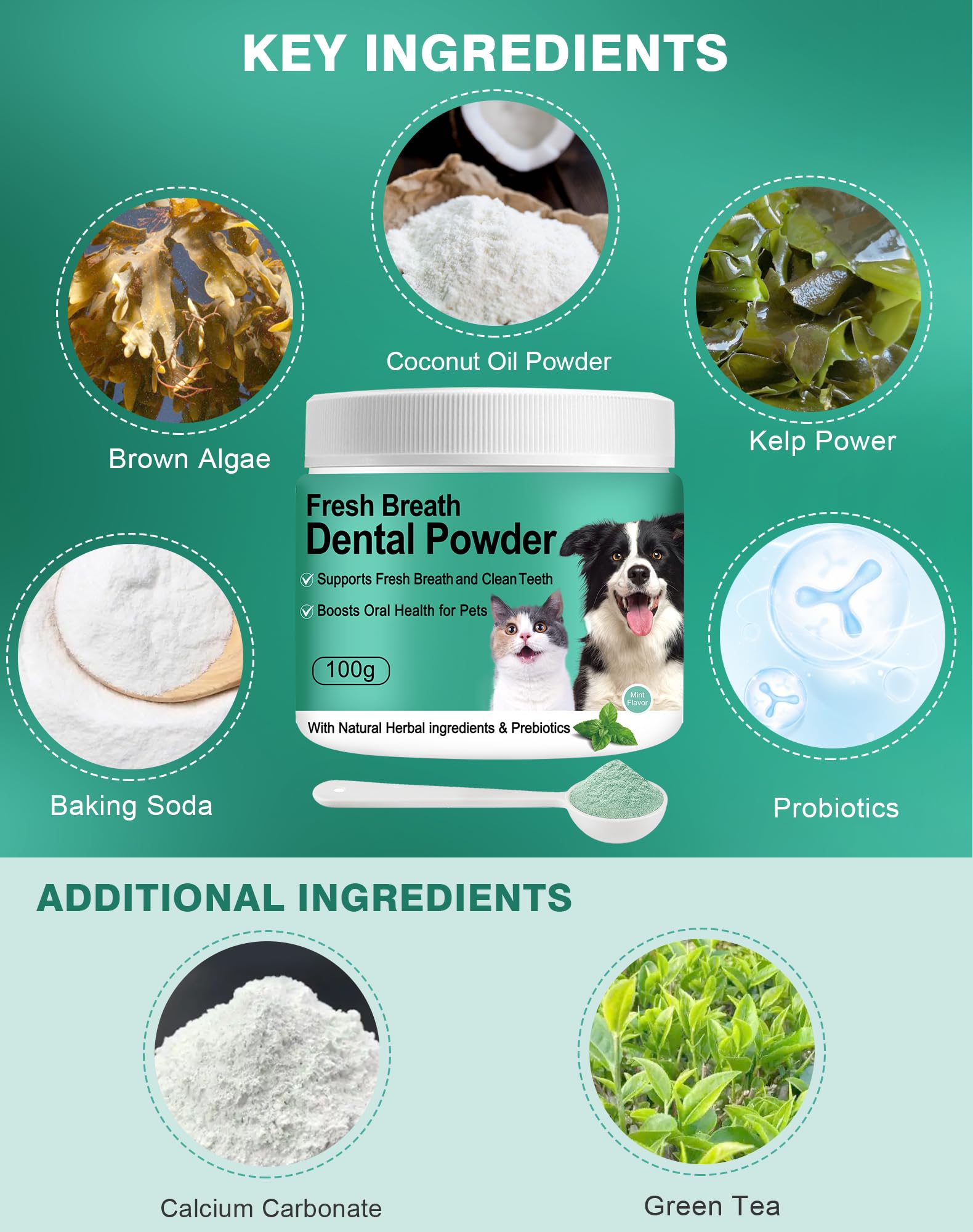 Envase de polvo dental Koite para perros, fácil de usar.