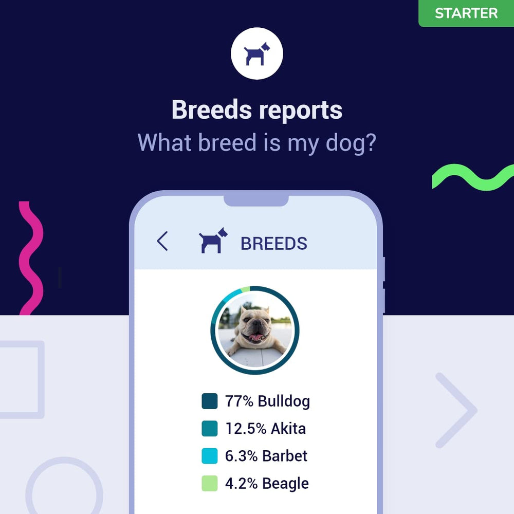 Koko Genetics Starter: actualizaciones de por vida sin coste y con cifrado de datos