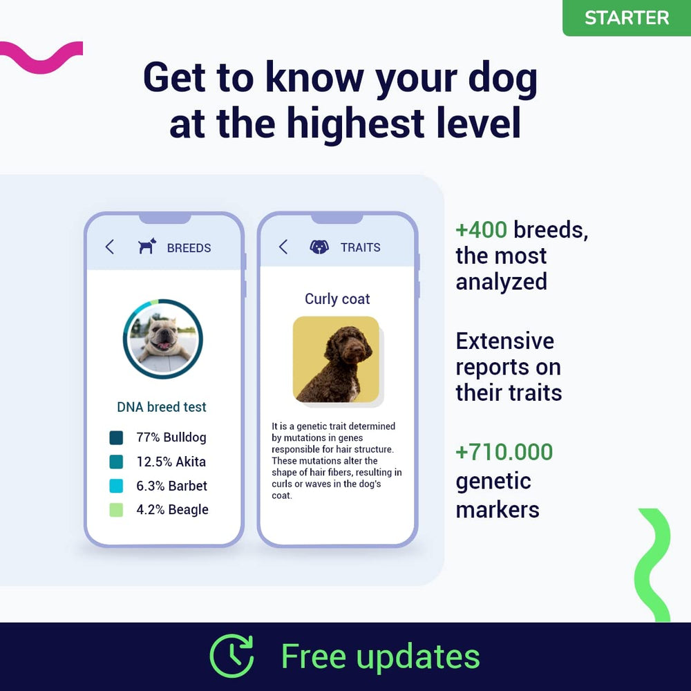 Koko Genetics Starter: análisis de ADN con más de 710,000 marcadores para información detallada