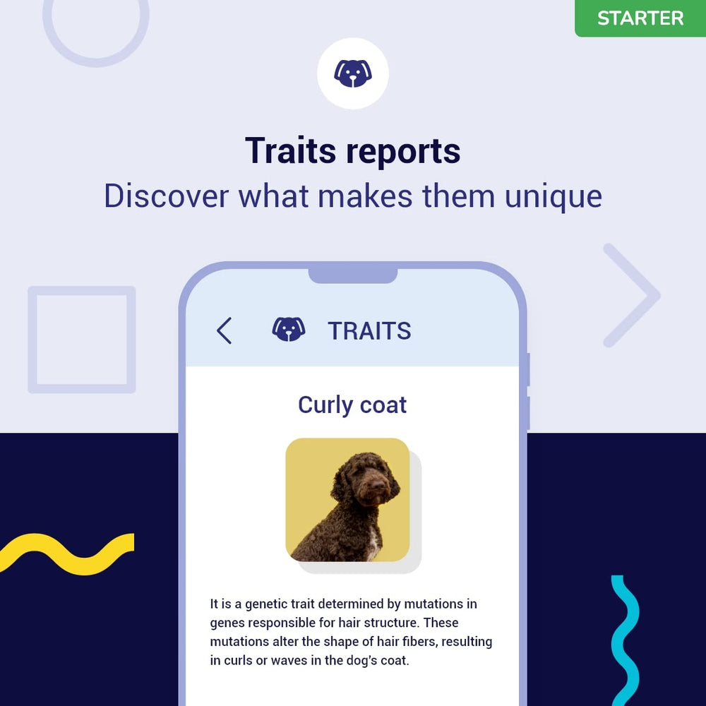 Koko Genetics Starter: árbol genealógico del perro para descubrir parientes y orígenes