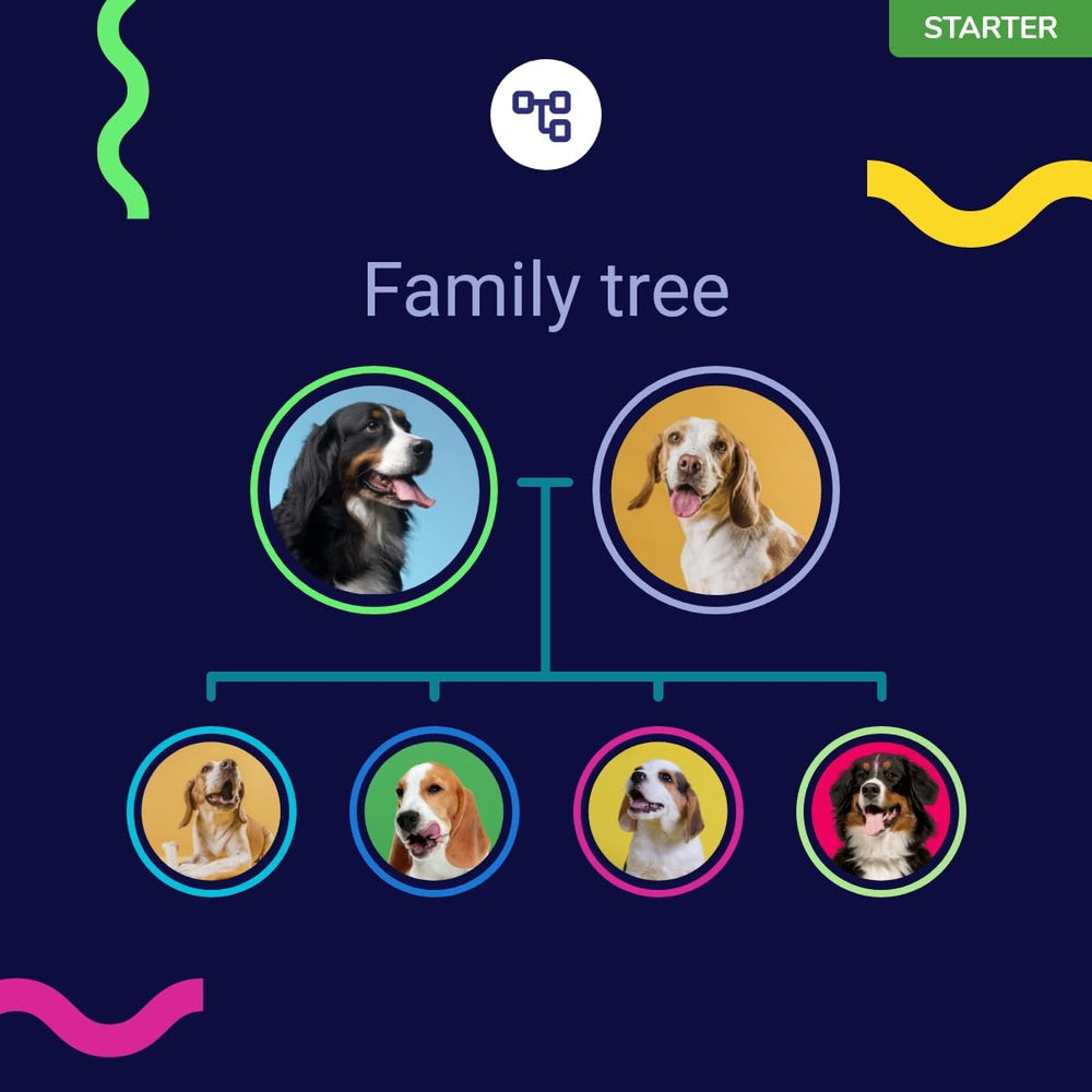 Koko Genetics Starter: asistencia profesional para interpretar resultados y resolver dudas