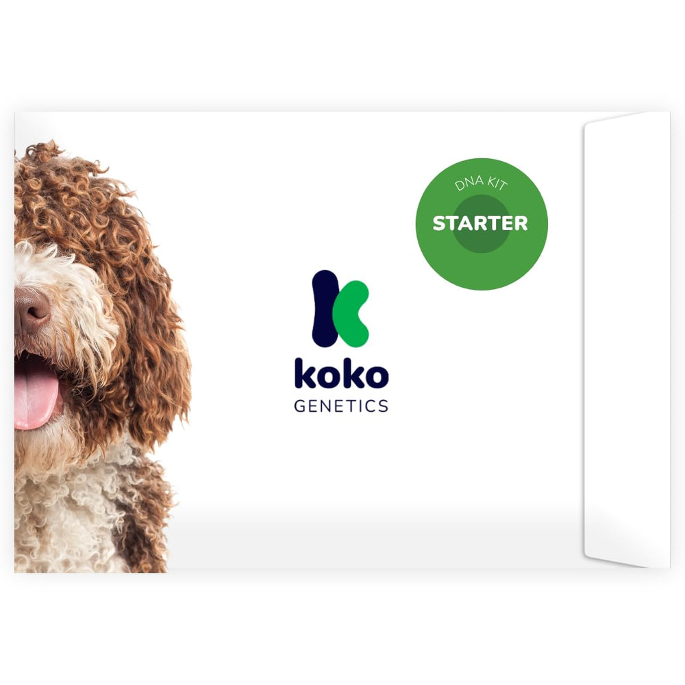 Koko Genetics Starter: muestra de saliva para conocer el ADN de tu perro