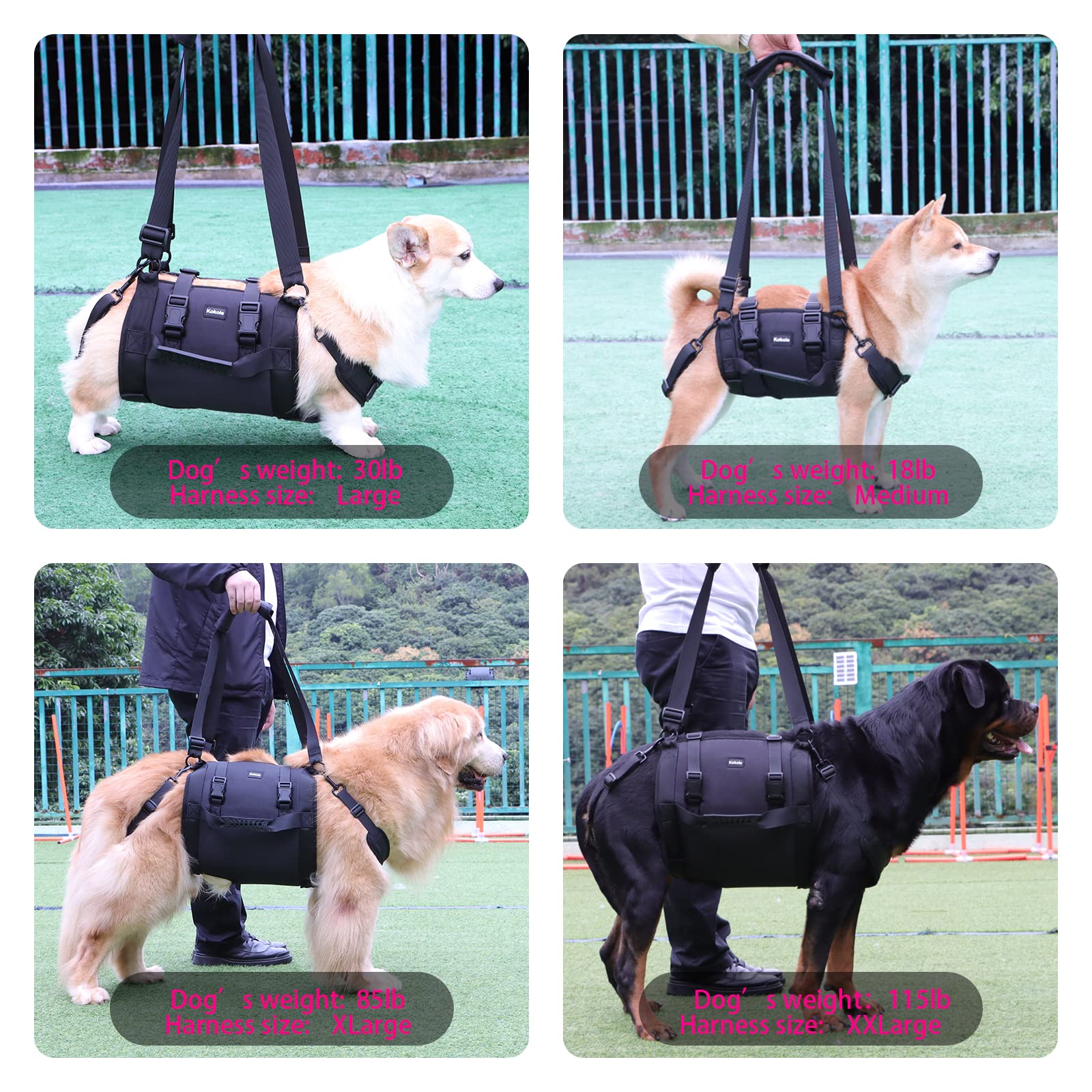 Kokoie arnés para perros: soporte corporal completo para movilidad estable.