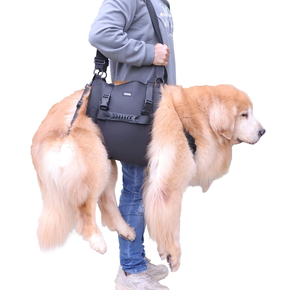 Kokoie arnés de elevación para perro, carga frontal para movilidad diaria.