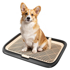 KOLA PANDA, bandeja de entrenamiento para perros con superficie amplia para prevenir derrames.