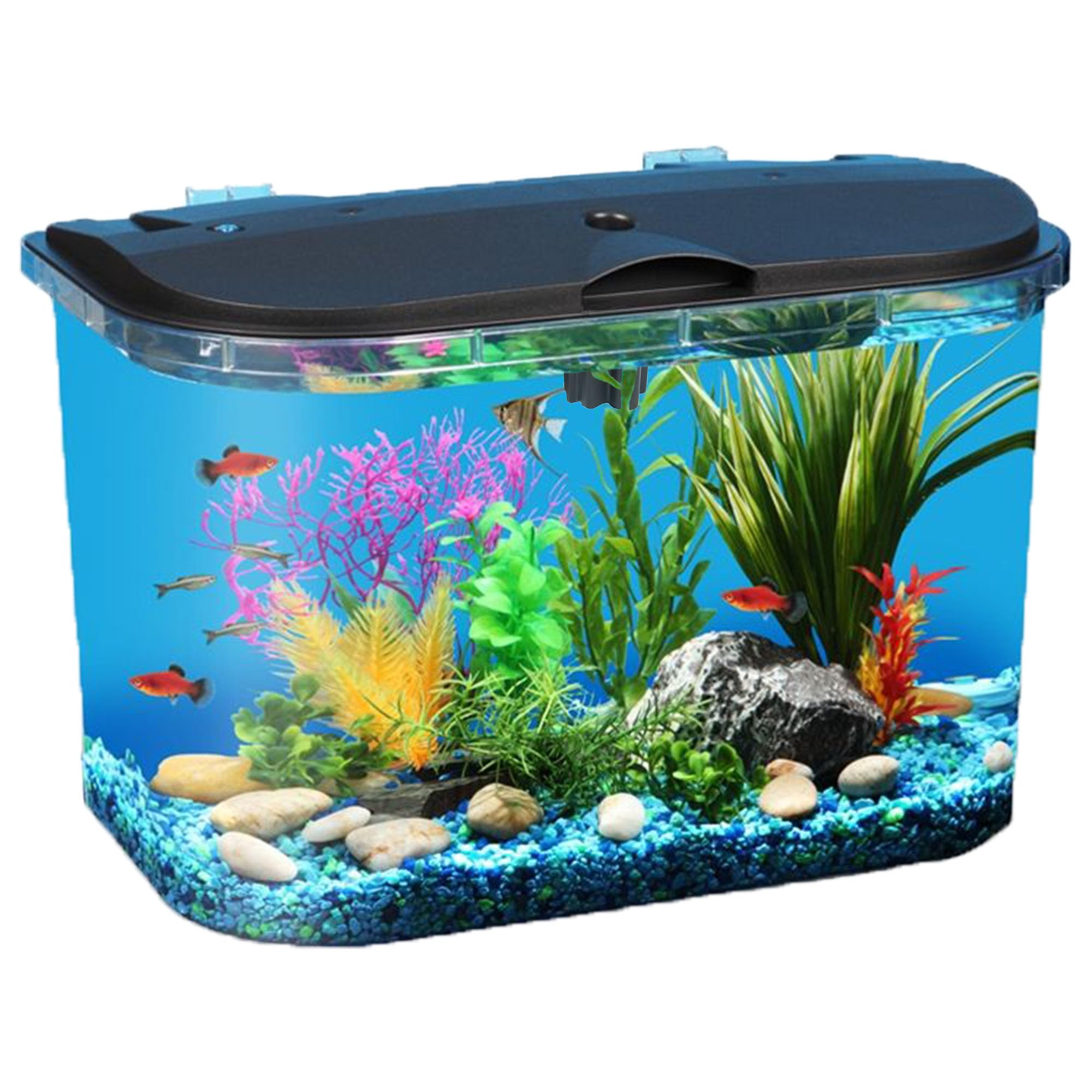 Koller Panaview 5 galones con luz led para resaltar colores de los peces