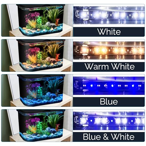 Koller Panaview 5 galones con temporizador de iluminación para automatización