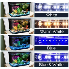 Koller Panaview 5 galones con temporizador de iluminación para automatización
