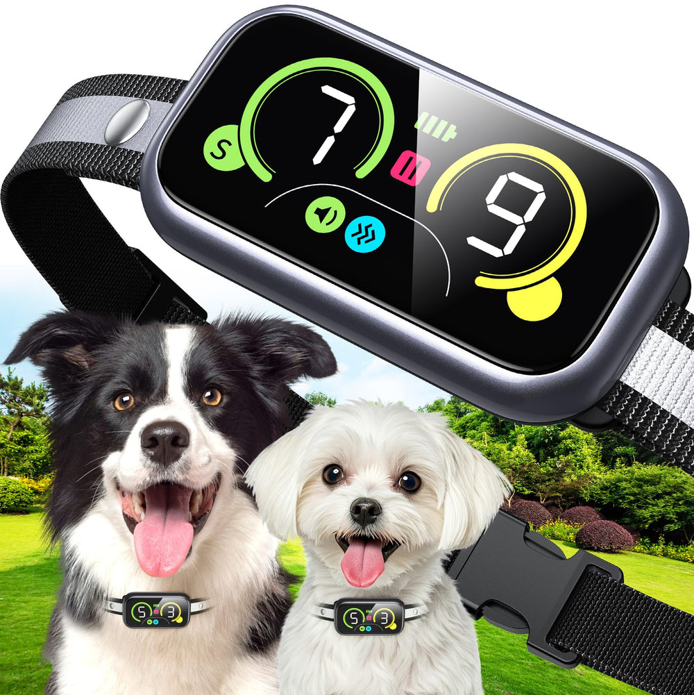 Kollgux collar mostrando modo 4-en-1 para entrenamiento progresivo