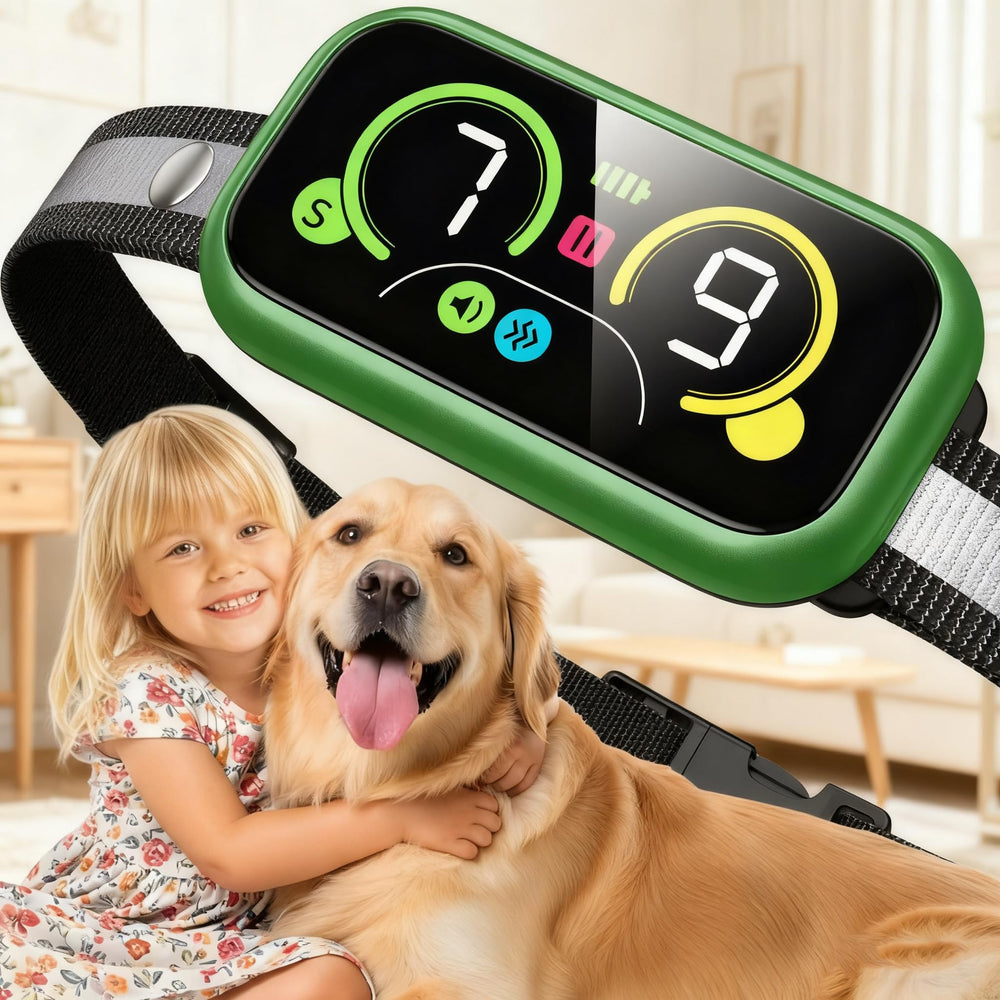Kollgux Collar Perro Pro, vista frontal, cómodo para paseos diarios.