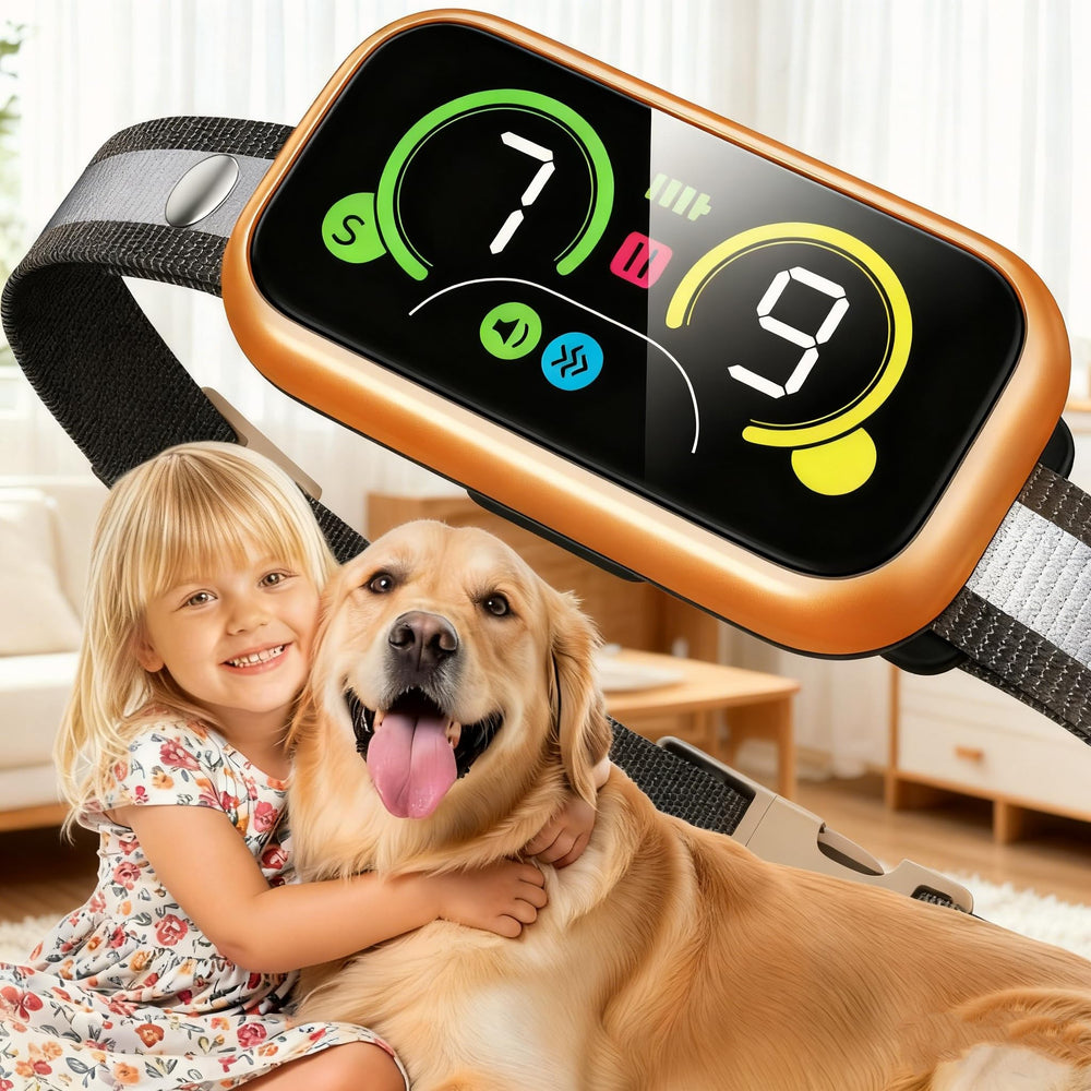 Kollgux Collar Pro frente: entrenamiento en casa.