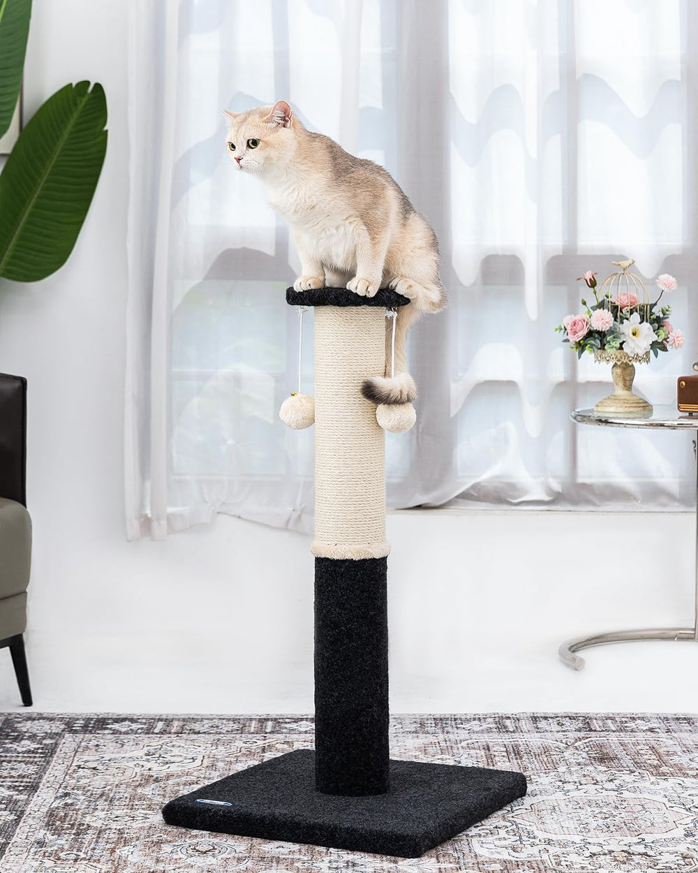 Komicoll uso en interiores ideal para hogares con gatos