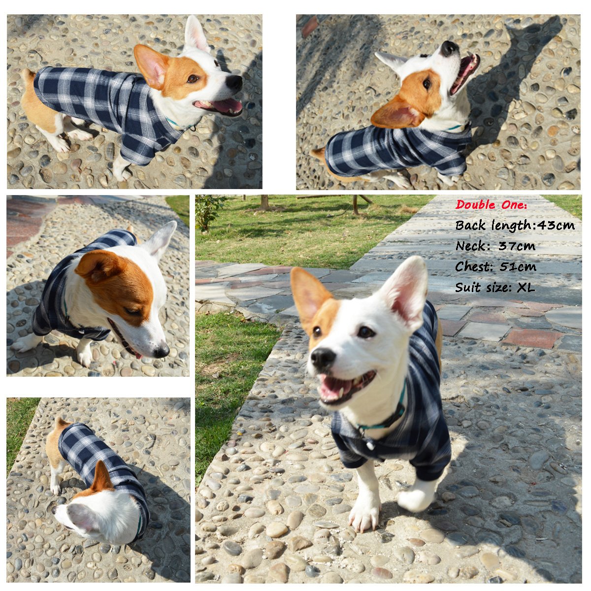 Koneseve camisa perro cuadros lavado fácil, perfecto para uso diario.