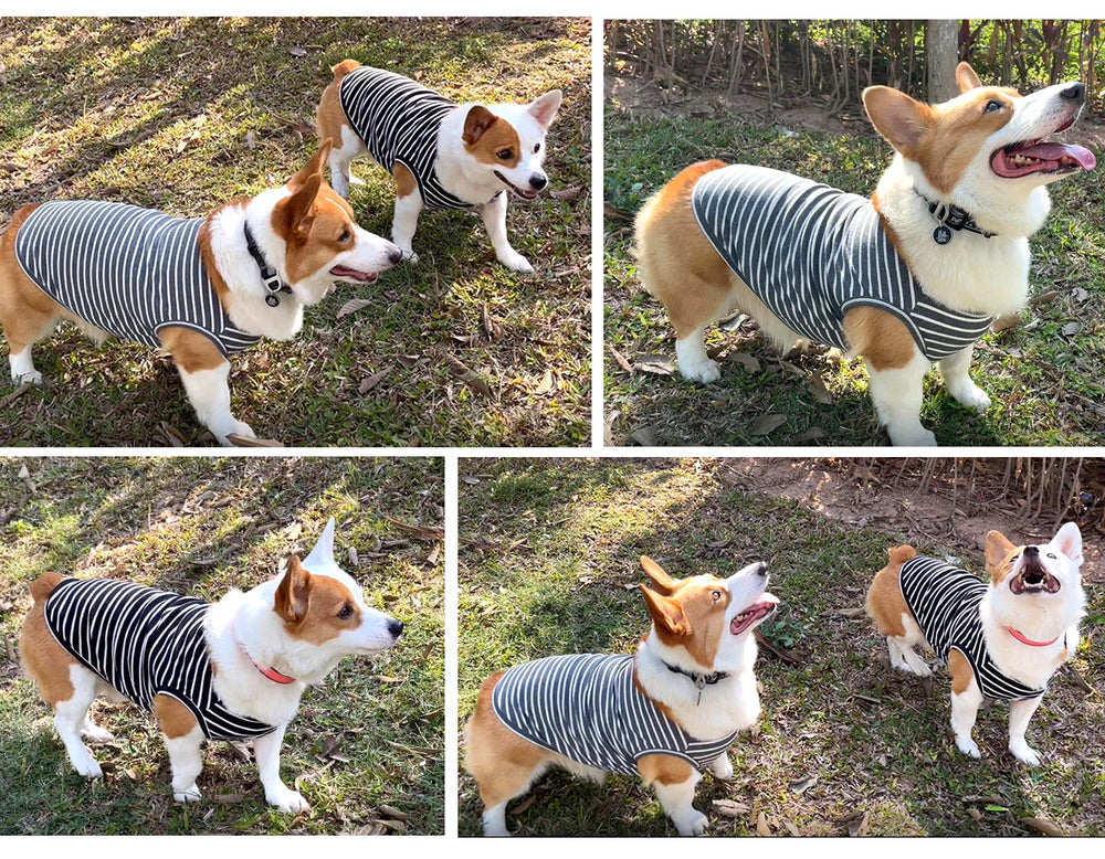 Koneseve camiseta sin mangas para perros grandes, ajuste cómodo.