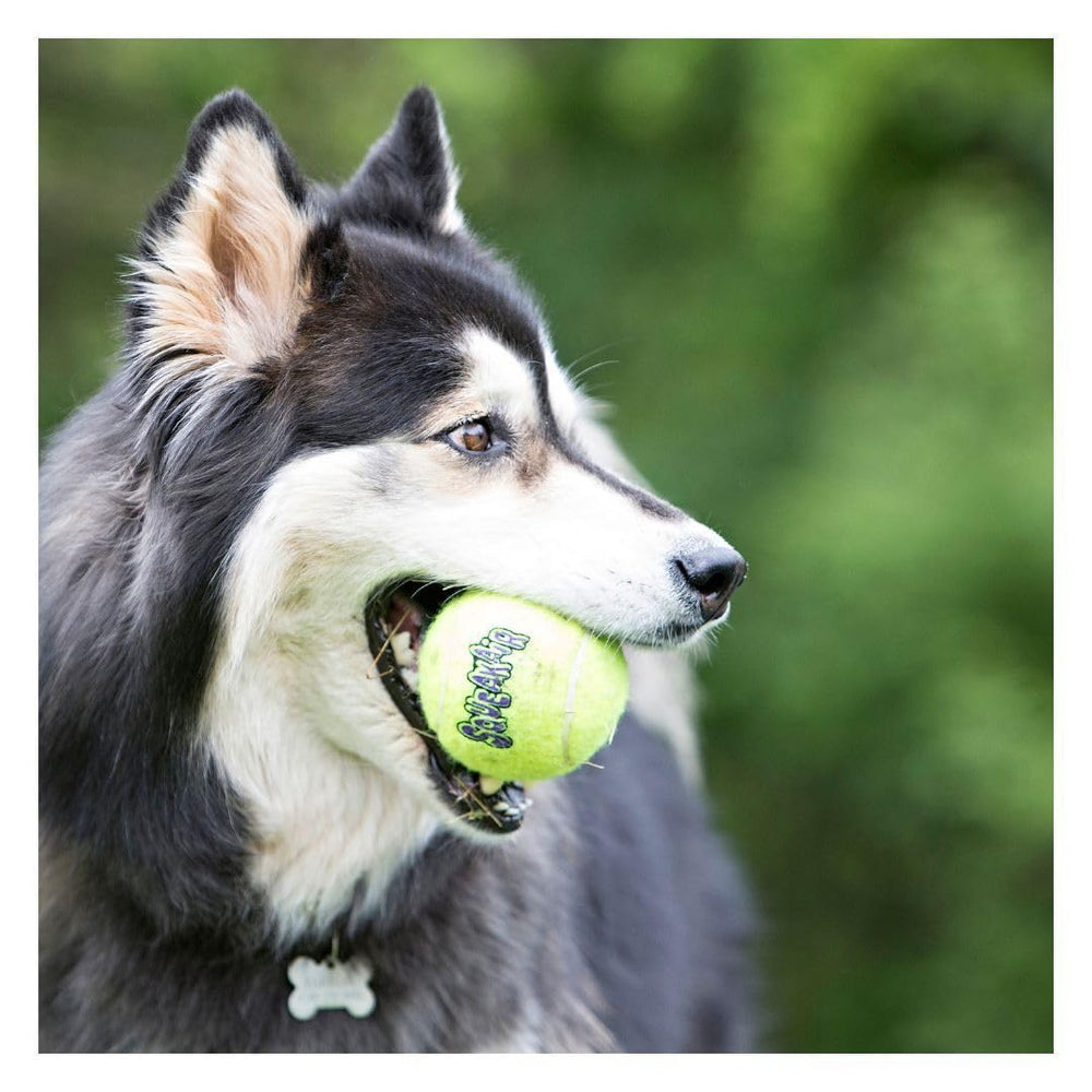 KONG Air Dog Squeaker Pelota de Tenis XL, tamaño extra grande para perros activos.