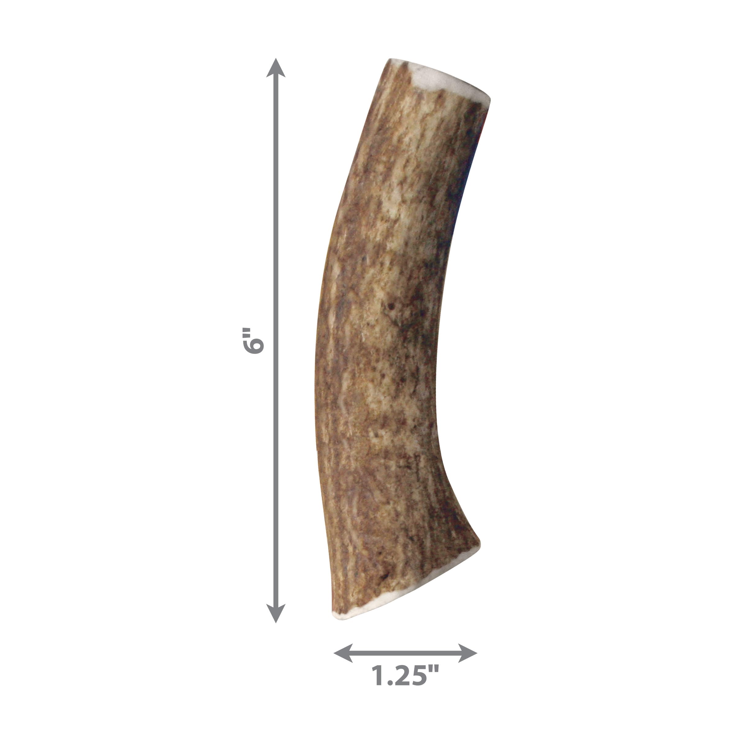 KONG cuerno de alce natural sin olor para juego seguro